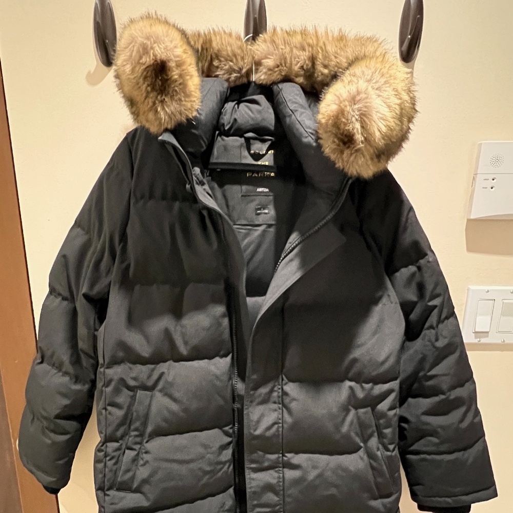 Aritzia TNA/Golden The Powder Parka - Black - Large - Like New -  Mid Length